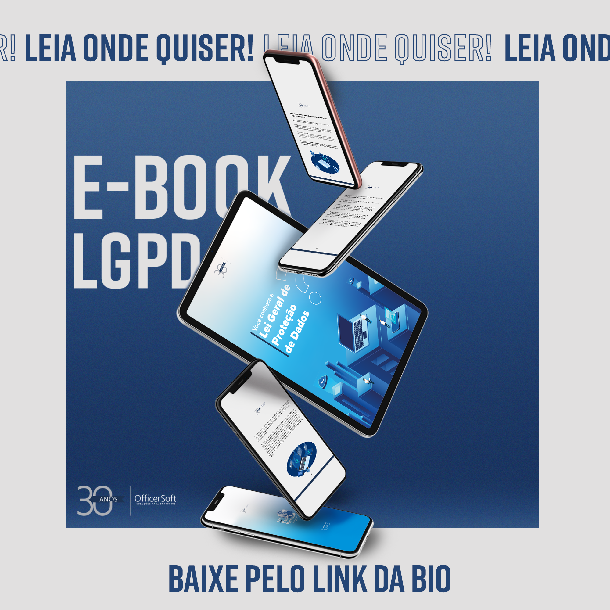 Baixe nosso e-Book sobre a LGPD!