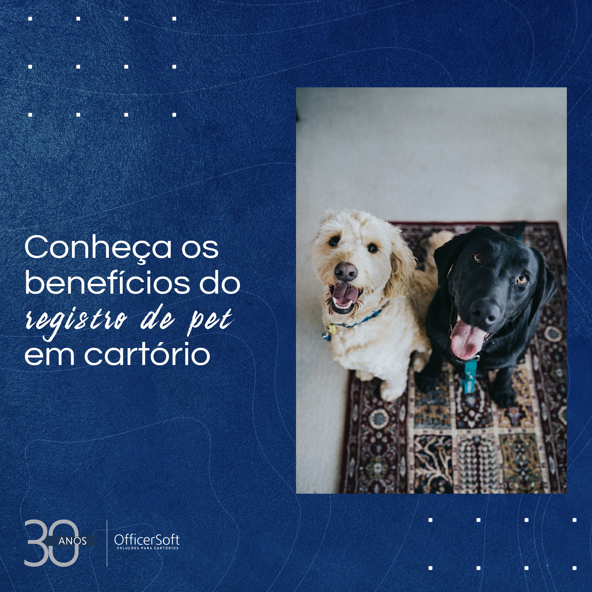 Benefícios do Registro de Pet